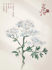 《红豆2·月光》剧本杀复盘：如何推理出凶手身份？关键线索与陷阱逐一解析