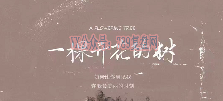 《一棵开花的树》剧本杀复盘立意解读答案密码+凶手是谁玩本技巧